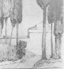 1915 - Cipressi a Lucca